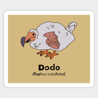 Dodo Magnet